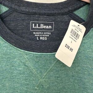 L.L. Bean Green Slightly Fitted Sweater
